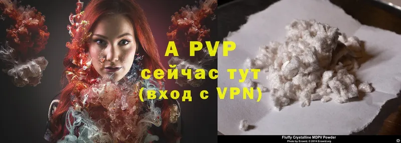 A PVP СК  Балей 